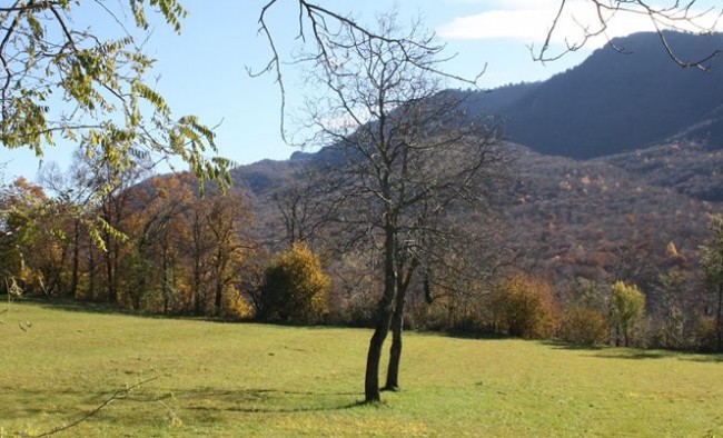 autunno