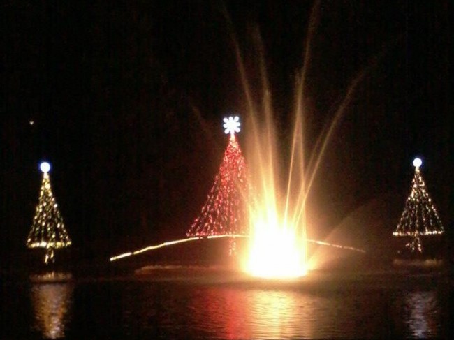 varese natale