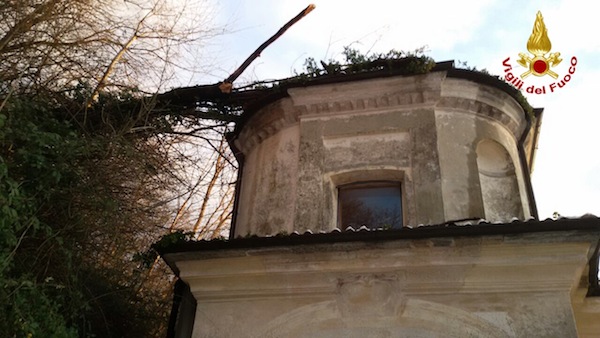 albero sacro monte