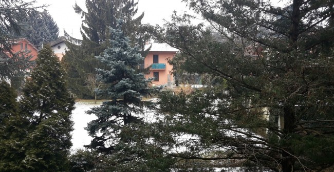 Nevicata 3-2-15