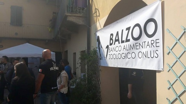 Balzoo 2