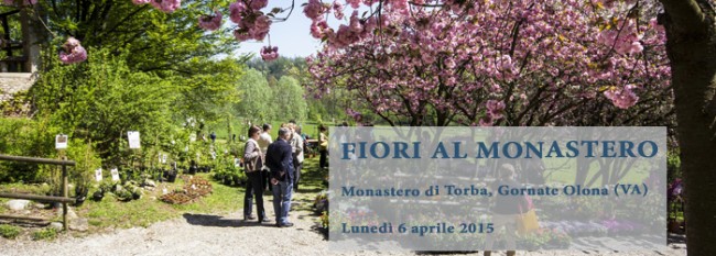 fiori torba monastero