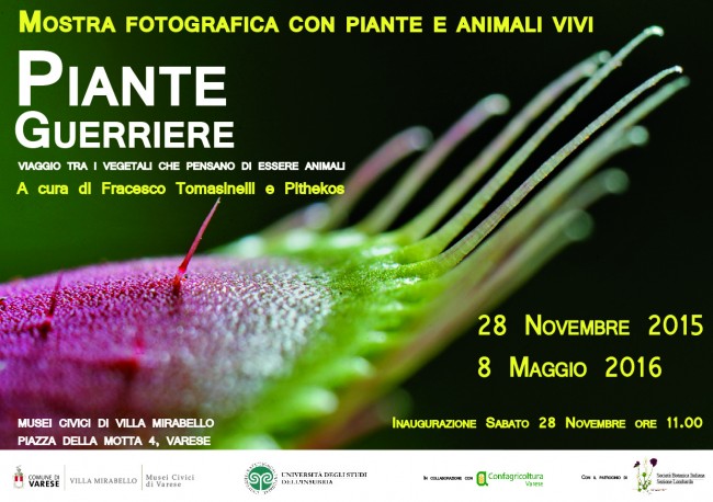 Mostra-sulle-piante guerriere-a-Varese-dal-29-novembre-al-8-maggio-2016