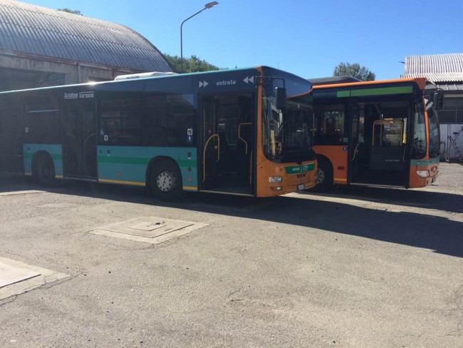 bus-urbani